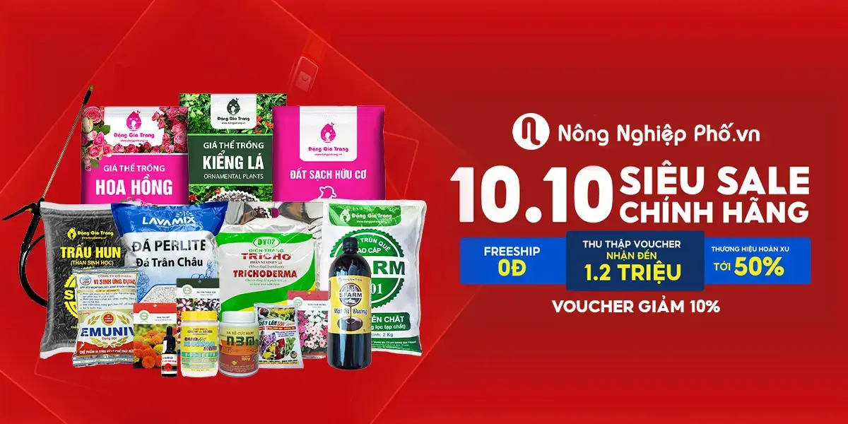 Với Hơn 1000+ Sản Phẩm Làm Vườn, Nông Nghiệp Phố Sẽ Giúp Bạn Dễ Dàng Bắt Tay Ngay Vào Việc “trồng Rau – Tránh Dịch” Ngay Tại Nhà Nhé!