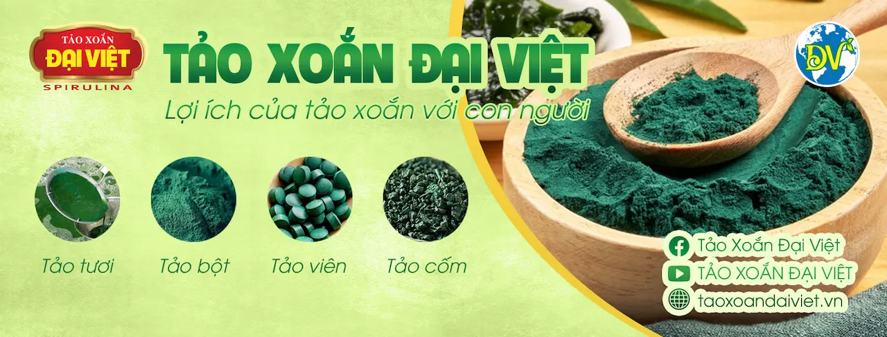 Tảo Xoắn Đại Việt Spirulina Là Thành Phần Chính Trong Tảo Viên Sumi Hevi Với Hàm Lượng Chiếm Đến 80% Đây Là “siêu Thực Phẩm” Được Thế Giới Công Nhận Bởi Giá Trị Dinh Dưỡng Cao Và Hàm Lượng Các Chất Khoáng, Vitamin Phong Phú Và Đa Dạng.